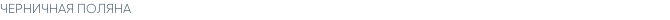 ЧЕРНИЧНАЯ ПОЛЯНА
